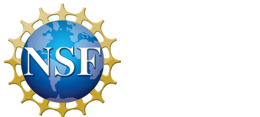 NSF logo featuring a blue globe with white continents and the letters "NSF" in white, surrounded by a gold gear-like border.